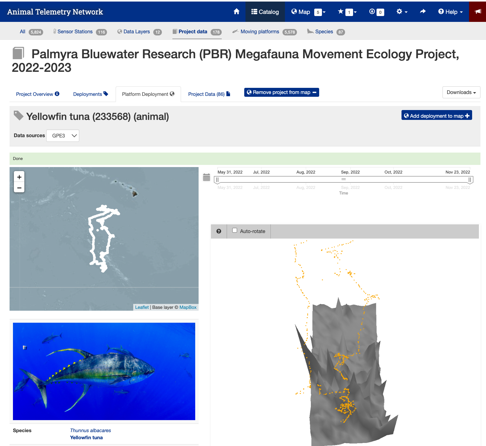 Image of the detail page for the Yellowfin Tuna #233568